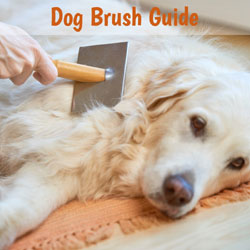 best brush for wiry dog hair