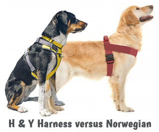 H' Shaped Dog Harness v Norwegian Harness | D for Dog