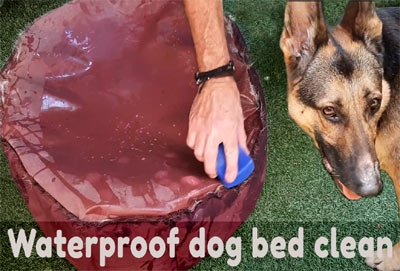 How to clean a waterproof dog bed