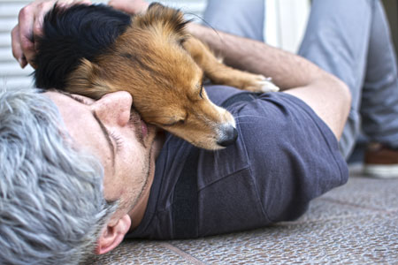 Dog Euthanasia  When to Say Goodbye?