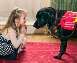 Medical Detection Dogs