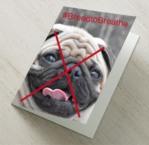 Moonpig Ban Flat-Faced Dogs on Greetings Cards