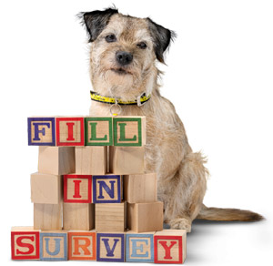 National Dog Survey