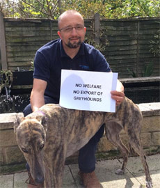 No Welfare No Export of Greyhounds