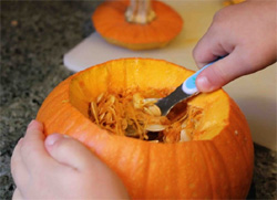 pumpkin being scooped out