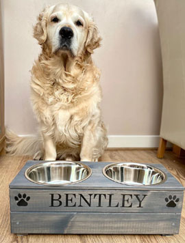 raised dog bowls and elevated feeders