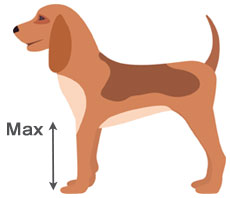 https://www.dfordog.co.uk/user/images/blog/raised-feeder-max-height.jpg