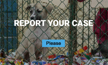 Report Illegal Puppy Traders