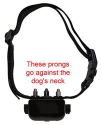 shock collar prongs