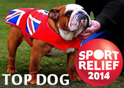 Sport Relief's Top Dog