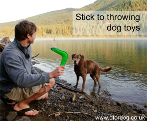 throw dog toys not sticks