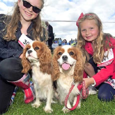 Suffolk Dog Day