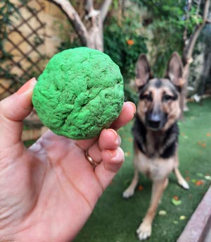 Wunderball indestructible dog ball