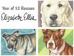 Elizabeth Ellis Year of 52 Rescues