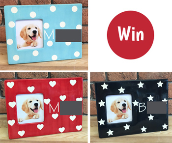 Win a dog photo frame