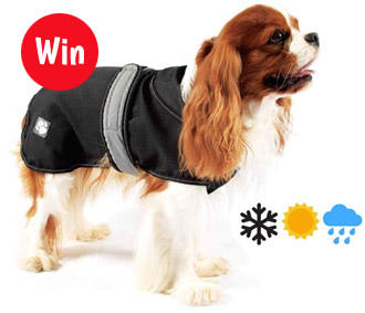 Win a Danish Design 2 in 1 Ultimate Dog Coat