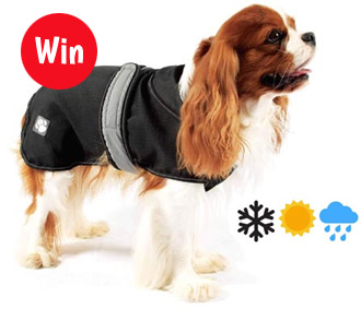 Win - 2 in 1 Ultimate Dog Coat