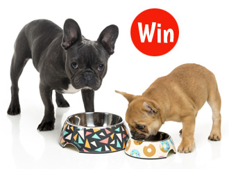 Win a FuzzYard dog bowl
