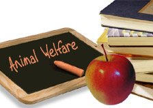 Put Pet Welfare On The National Curriculum