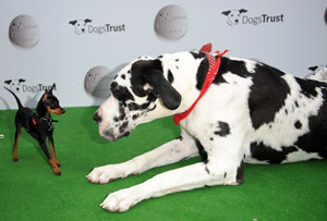 Dogs Trust Honours 2012 Winners