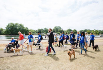 The Mayhew Animal Home dog walk for World Animal Week