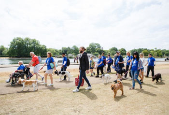 W.A.L.K Dog Walk for The Mayhew