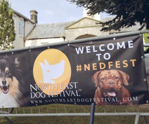 The North East Dog Festival