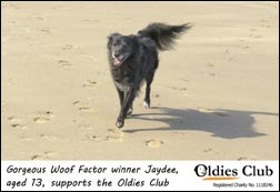 Oldies Club 2013 Calendar