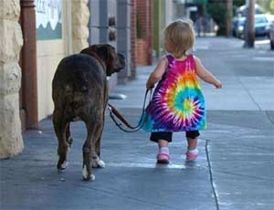 child walking a dog