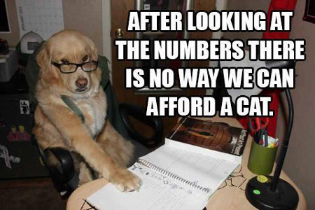 funny we can't afford a cat
