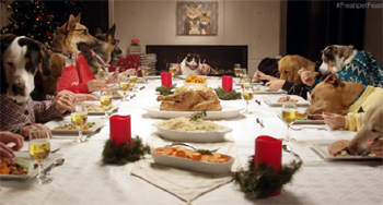 funny dog christmas feast
