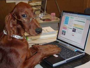 dog typing