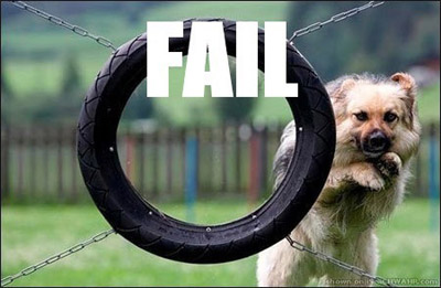 funny dog fail