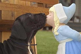 dog kiss