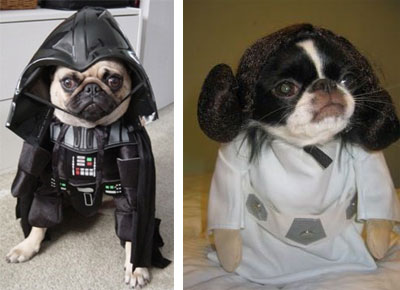 dogs dressed as Star Wars characters
