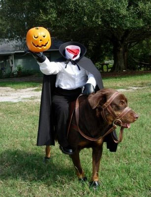 funny dog halloween pic headless man