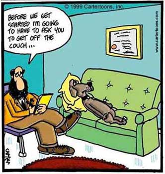 funny dog pic dog psychiatrist