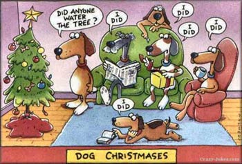 Image result for Xmas funny