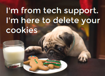 cute pug eating Christmas cookies