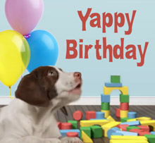 yappy birthday