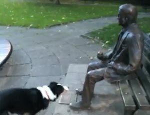 statue won't play with dog