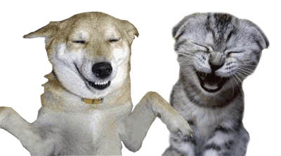laughing cat and dog
