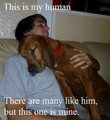 this is my human
