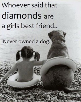 dogs are a girls best friend