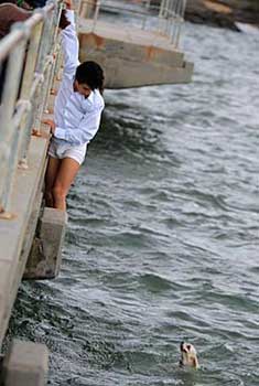 man dangles over bridge to rescue dog