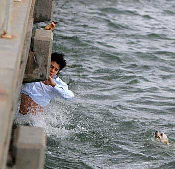 man in water saving dog