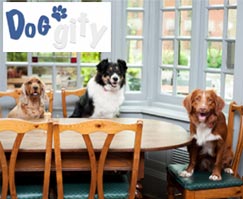 Doggity App - Dog Friendly Dining Near You