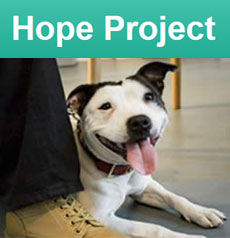 Dogs Trust Hope Project