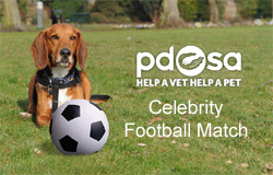 PDSA Celebrity Football Match