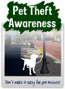 Pet Theft Awareness Week